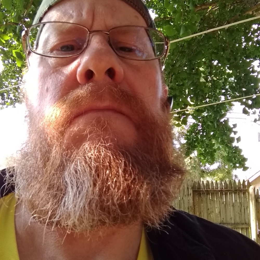 Meet your Posher, Bradley - Picture 4 of 12